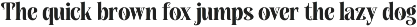 Qorina - Elegant Serif preview