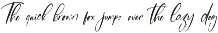 Sanitizer Eticulate Stylish Font preview