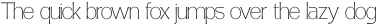 Fintalux Thin otf (100)
