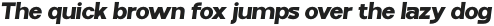 Fintalux Expended Italic Black otf (900)