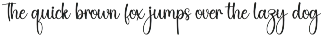 Saturday | Script Font preview