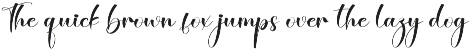 Sixtynine | Script Font preview