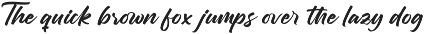 Chifest Skater Bold Handwritten Font preview