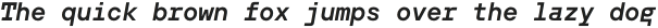 TT Hoves Pro Mono DemiBold Italic otf (600)