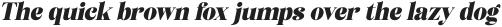 Akiho Faranea Black Italic otf (900)