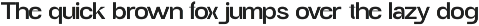 Ginkgo - Unique Sans Serif preview