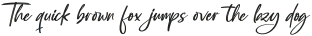 Southery Italic Italic otf (400)