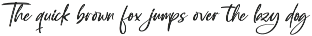 Southery Bold Brush Font preview