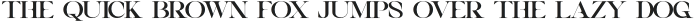 Vagins Regular otf (400)