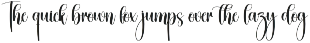 Dirty | Script Font preview