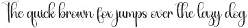 Handsome | Script Font preview