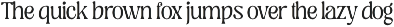 Regus Display - 90's Serif Family preview