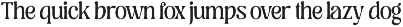 Regus Display - 90's Serif Family preview