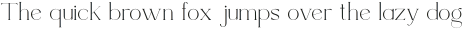 Rotweiler otf (400)