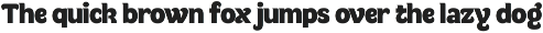 Multum - Distinctive Bold Sans preview