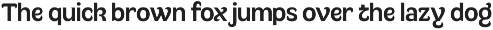 Multum - Distinctive Bold Sans preview