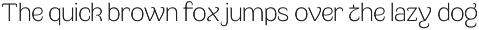 Multum - Distinctive Bold Sans preview