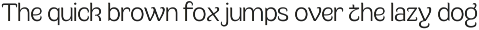 Multum - Distinctive Bold Sans preview