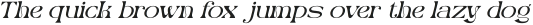 Merlo Rakasha Italic otf (400) Sample