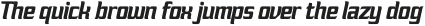 FX Nukari Bold Italic otf (700)