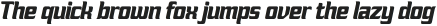 FX Nukari Extra Bold Italic otf (700)
