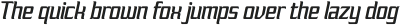 FX Nukari Medium Italic otf (500)