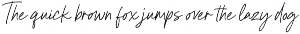 Wind Coast Handwritten Font font preview
