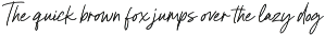 Wind Coast Handwritten Font preview
