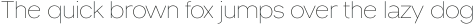 Venzia Sans Thin Variable ttf (100)