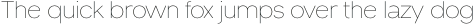 Venzia Sans Thin otf (100)