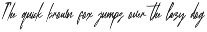 Metalova Elegant Script Font preview