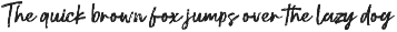 Party Anthem - Natural Brush Script preview