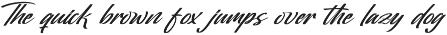 Oregoni Beach Bold Handwritten Font preview