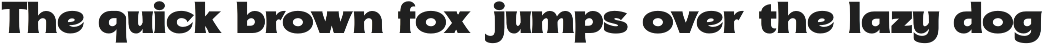 Soncara – Futuristic Soft Serif Font preview