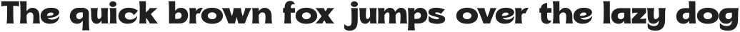 Soncara ExtraBold otf (700)
