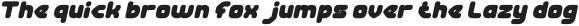 RECORD COMPANY Bold Italic otf (700)