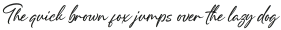 Fasthin Regular otf (100)