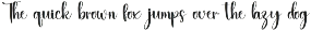 Barcode preview