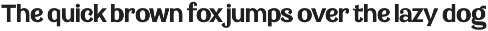 Saltern - Versatile Sans preview