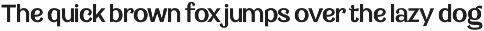 Saltern - Versatile Sans preview