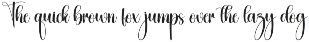 Blanket | Script Font preview