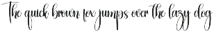 Navigate | Script Font preview