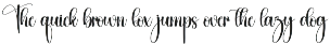 Neighbor | Script Font preview