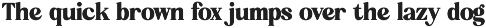 Aroma Baked Modern Serif Display preview