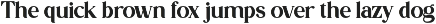 Patriona - Elegant Serif Font preview
