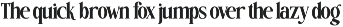 Snow Flakes - Nostalgic Serif Font preview