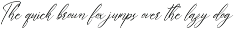 Whitesnight preview