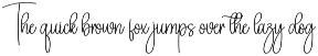 Dictionary | Script Font preview