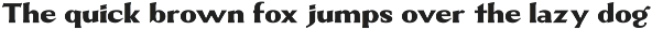 Muritoney – Classy Serif preview