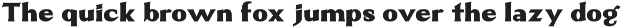 Muritoney – Classy Serif preview
